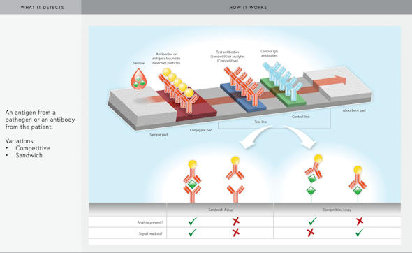 An illustration of the Lateral Flow Immunoassay process.