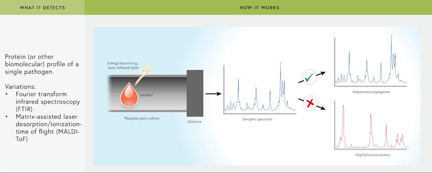 Illustration of the Spectroscopy/Spectrometry process.