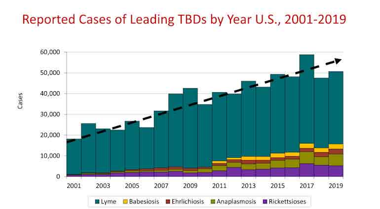 Reported cases of leading TBDs in the U.S. by year, 2001-2019.