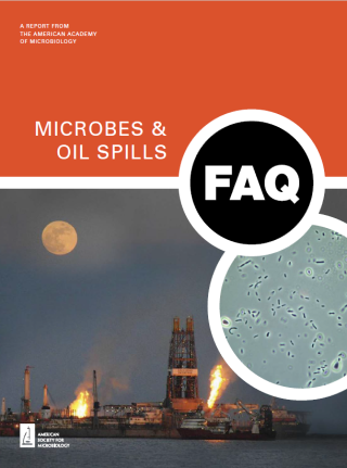 Cover of FAQ: Microbes and Oil Spills