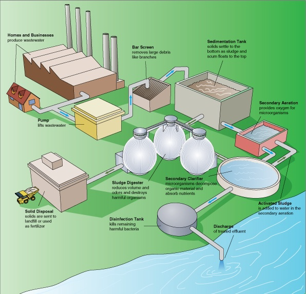 Illustration showing the main steps of the activated sludge process used by large-scale wastewater management facilities.