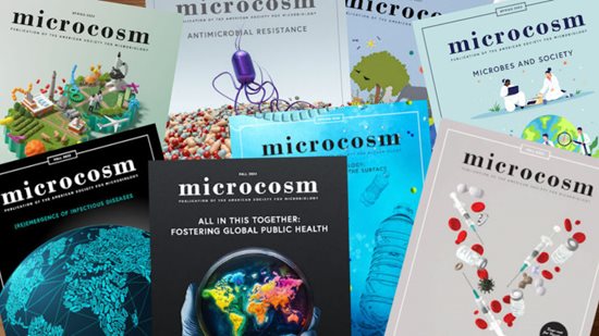 Microcosm Magazine covers scattered on a coffee table.